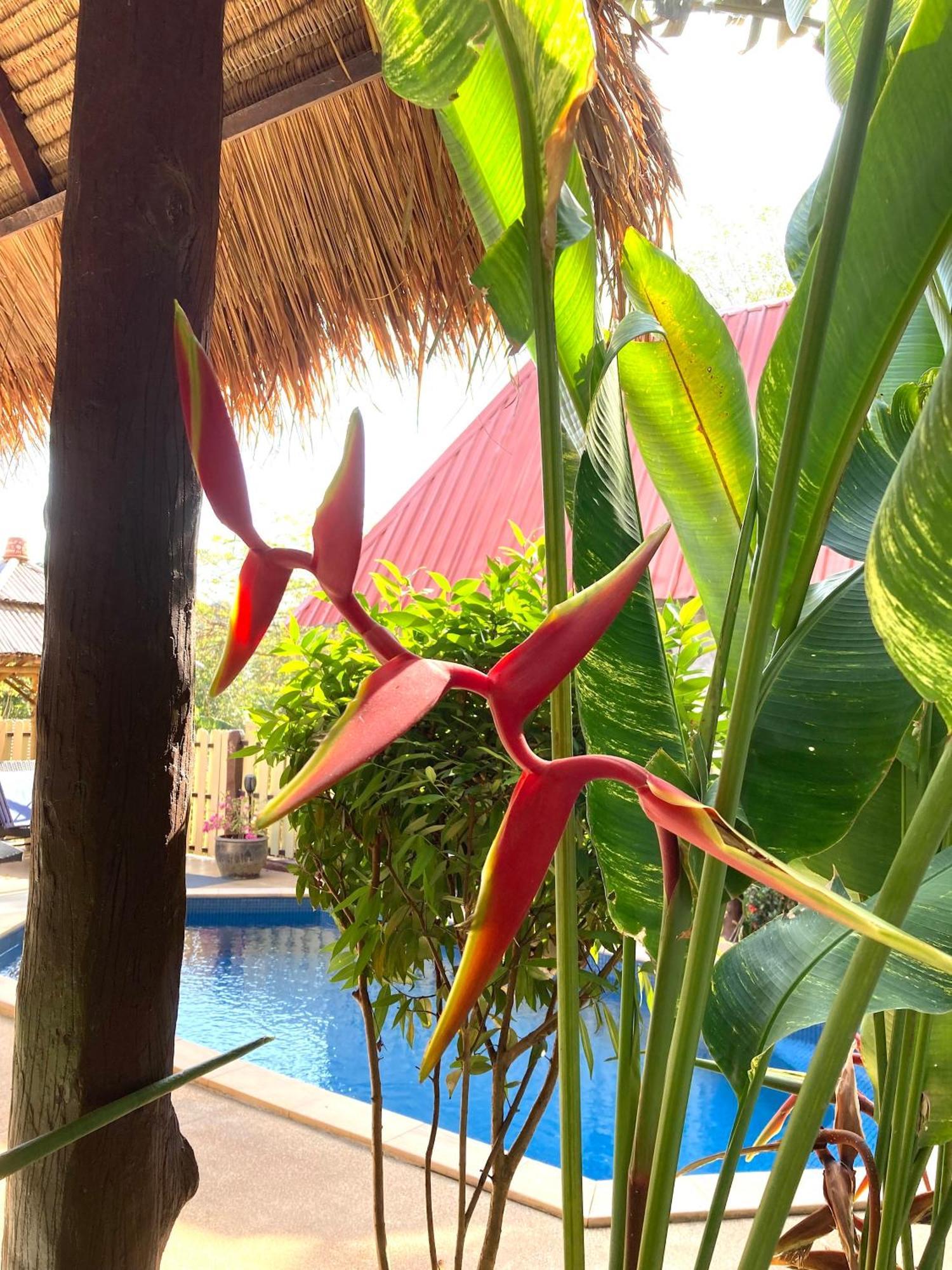 Villa Ayutthaya At Kantiang Bay Ko Lanta エクステリア 写真